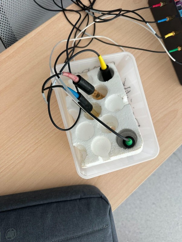 Sondes Atlas Scientific